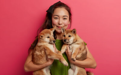 All About Pet Obesity