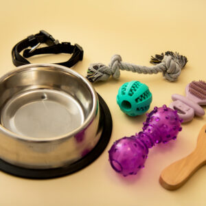 TOYS & ACCESSORIES